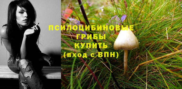индика Вязники