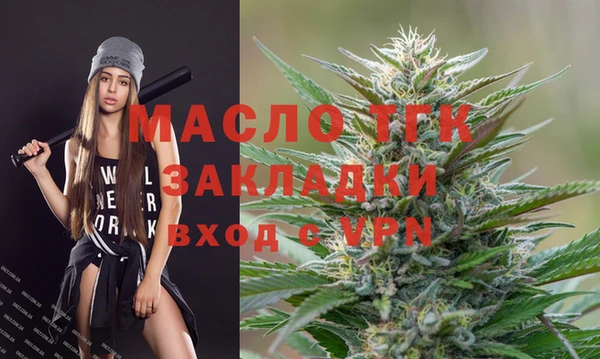 ECSTASY Бородино