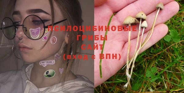 ECSTASY Бородино
