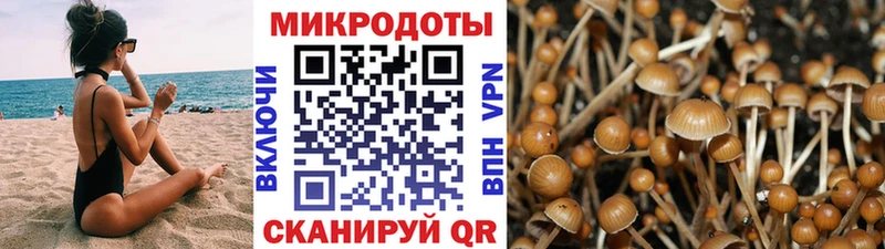 MEGA   Искитим  мориарти наркотические препараты  Псилоцибиновые грибы ЛСД 